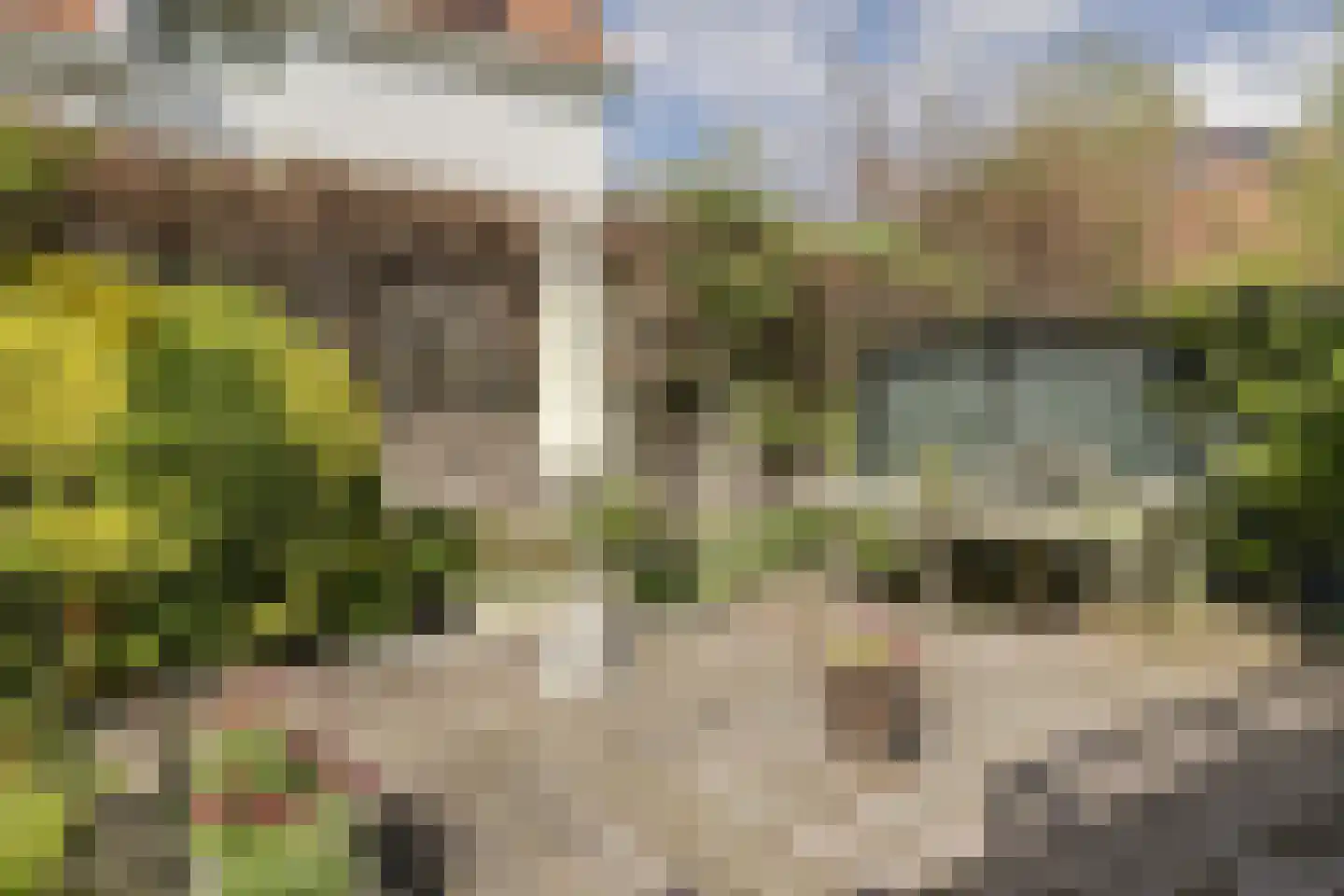 Koninginnelaan 6 Oegstgeest thumbnail 59