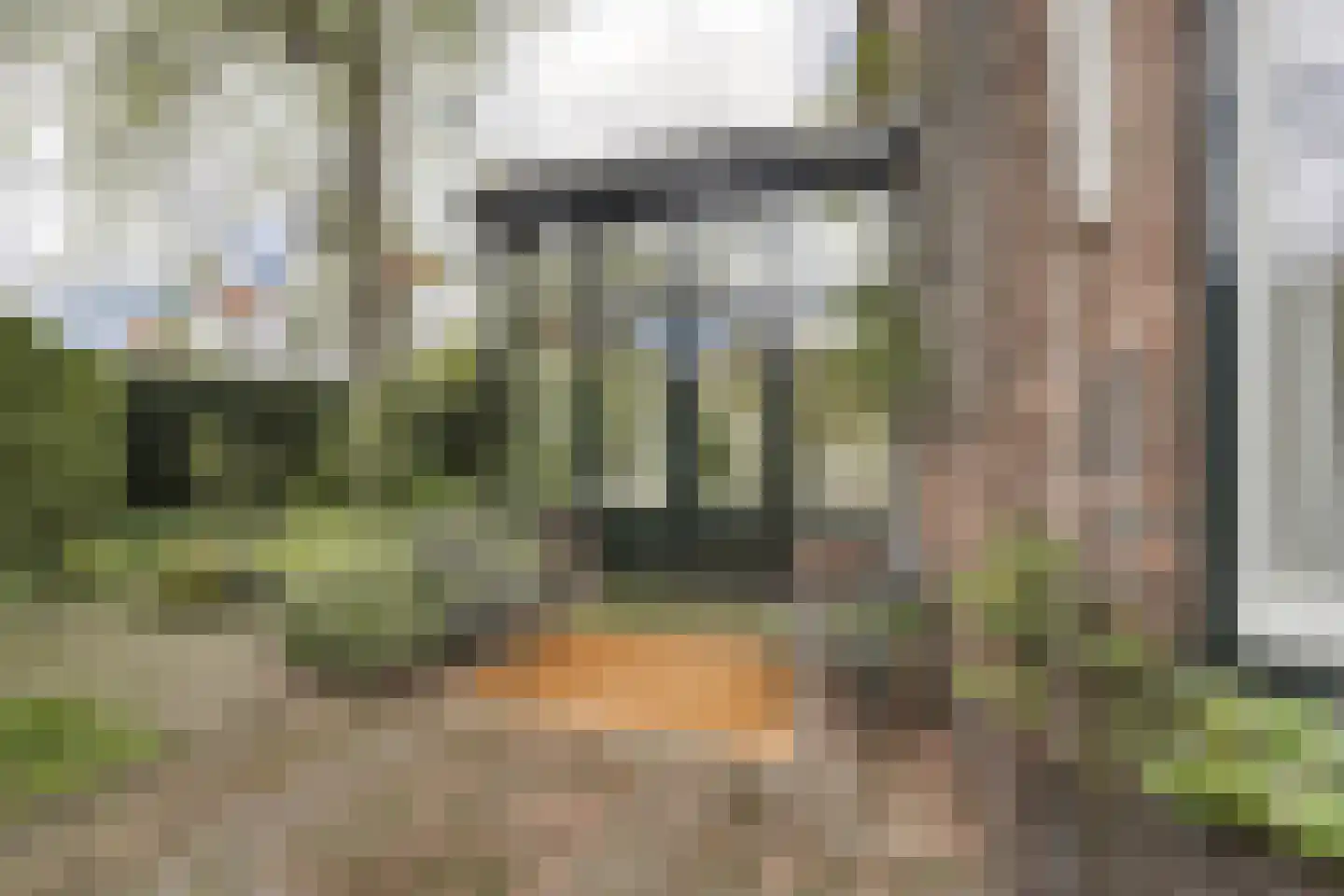 Koninginnelaan 6 Oegstgeest thumbnail 61