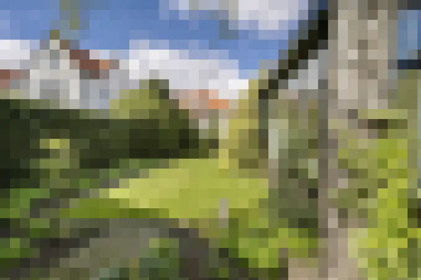 Koninginnelaan 6 Oegstgeest thumbnail 63