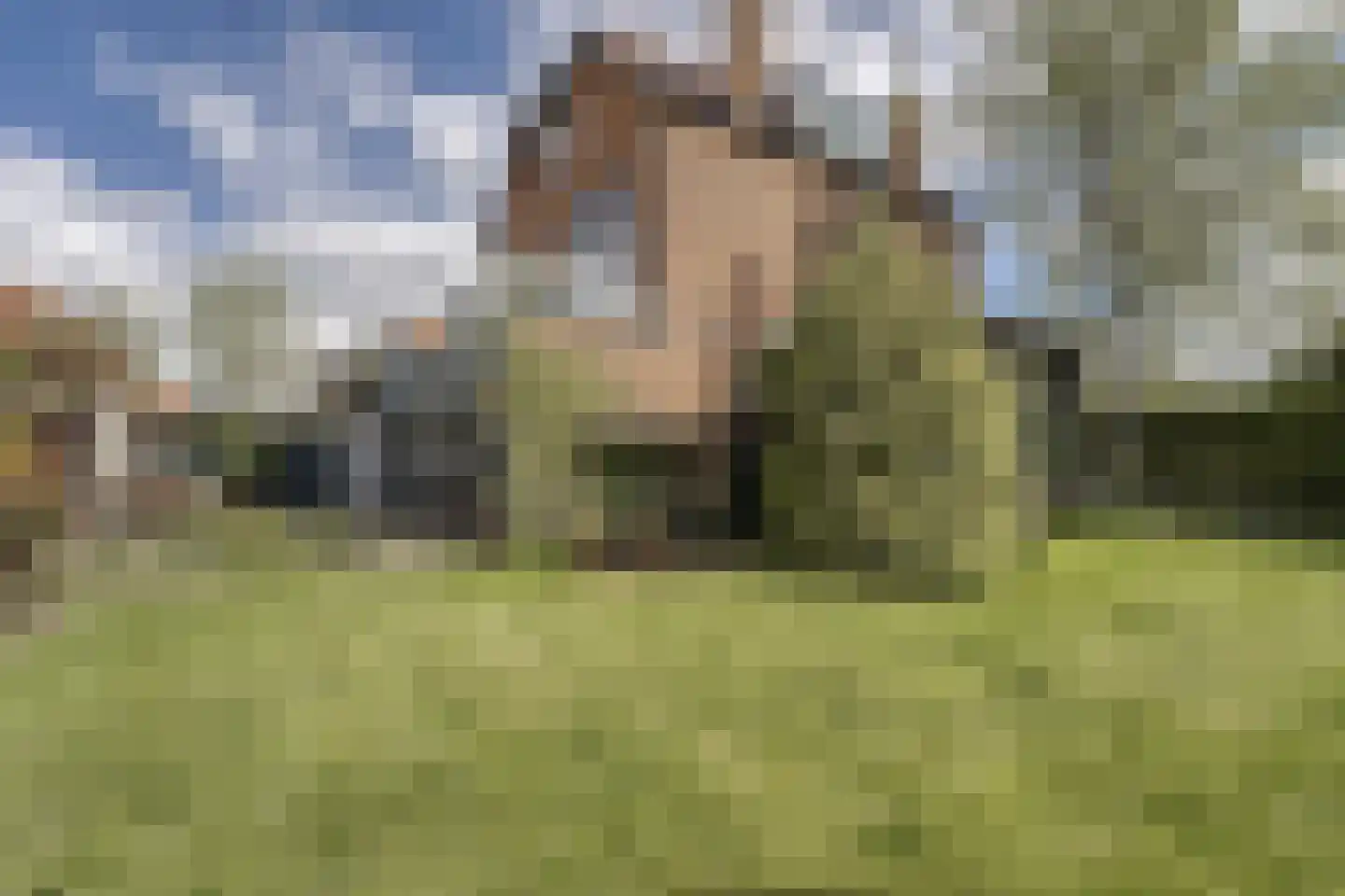 Koninginnelaan 6 Oegstgeest thumbnail 64