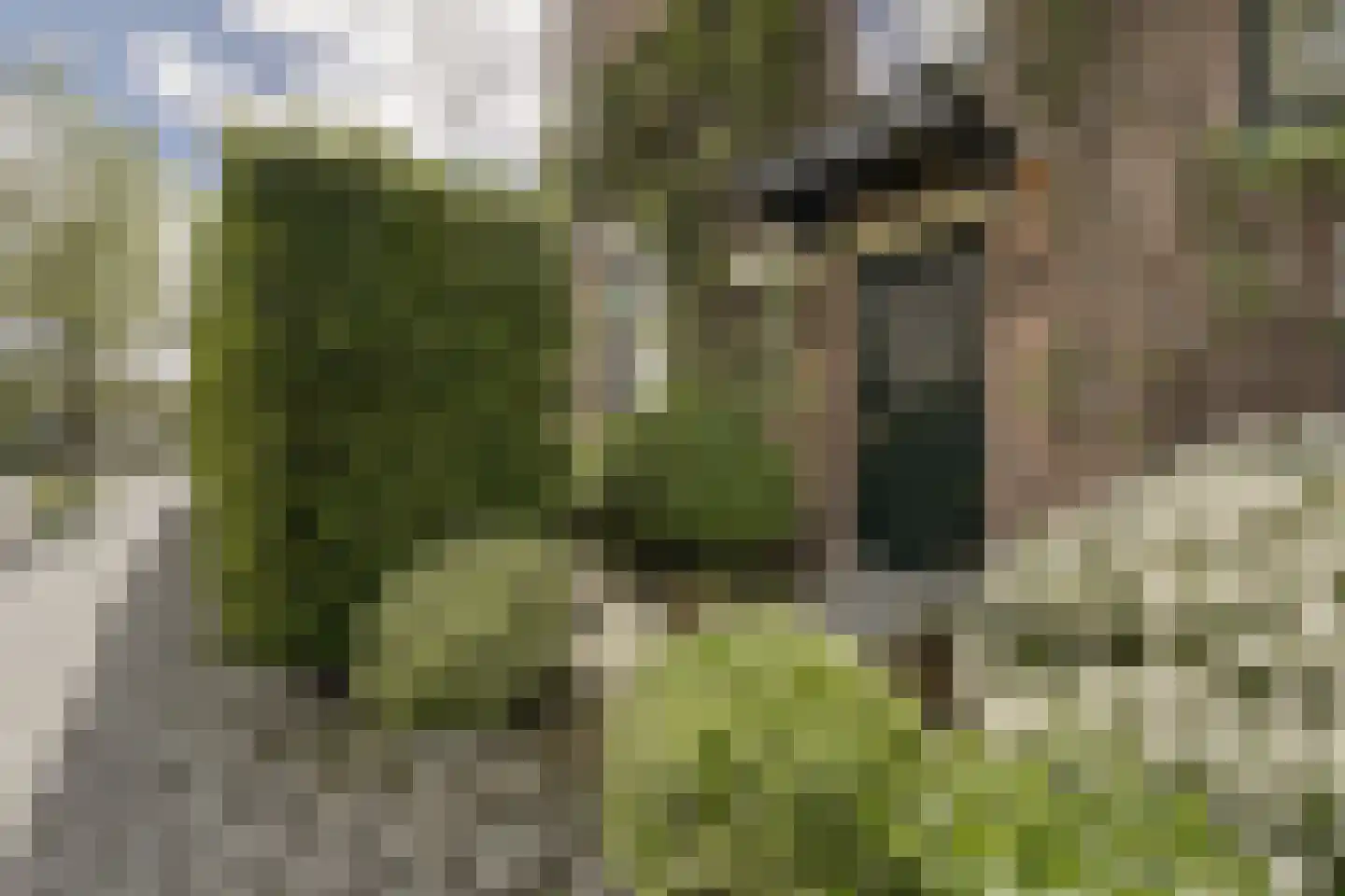 Koninginnelaan 6 Oegstgeest thumbnail 8