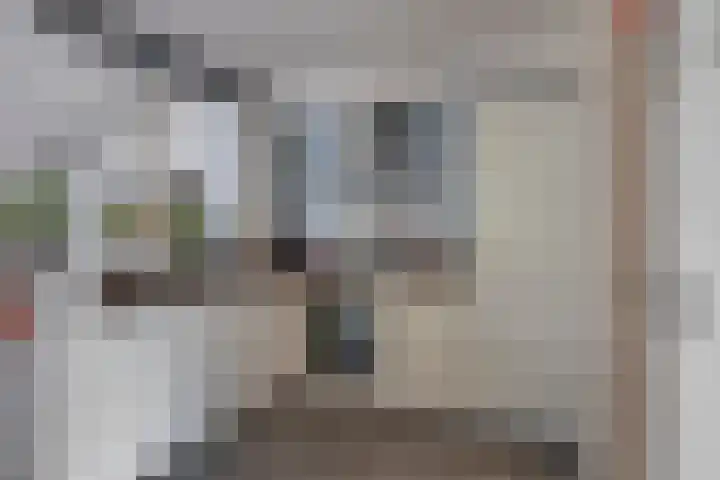 Koninginnelaan 6 Poortugaal thumbnail 10