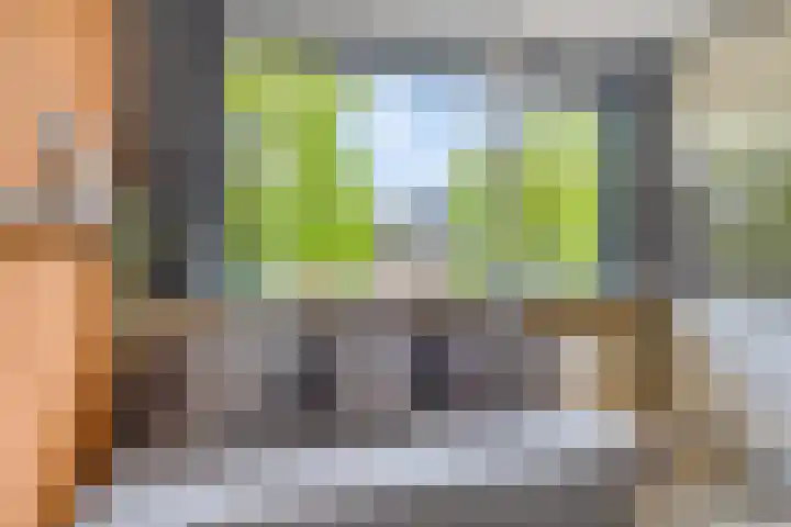Koninginnelaan 6 Poortugaal thumbnail 18