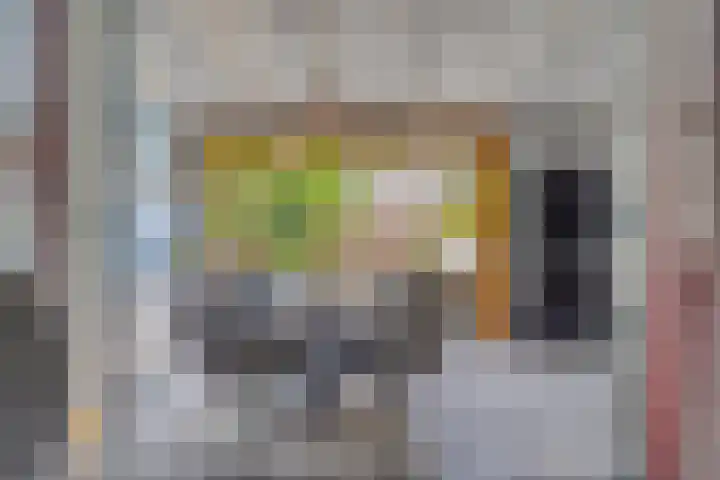 Koninginnelaan 6 Poortugaal thumbnail 19