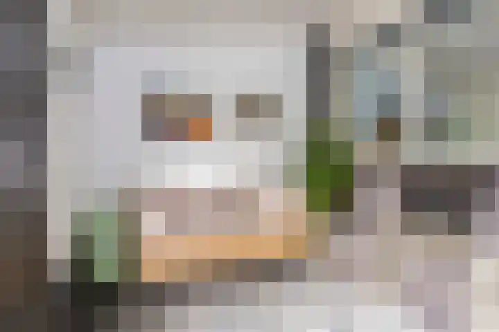 Koninginnelaan 6 Poortugaal thumbnail 20