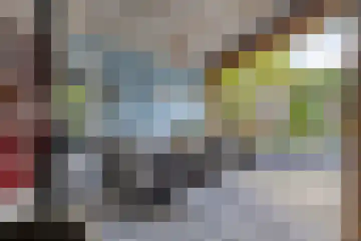Koninginnelaan 6 Poortugaal thumbnail 21