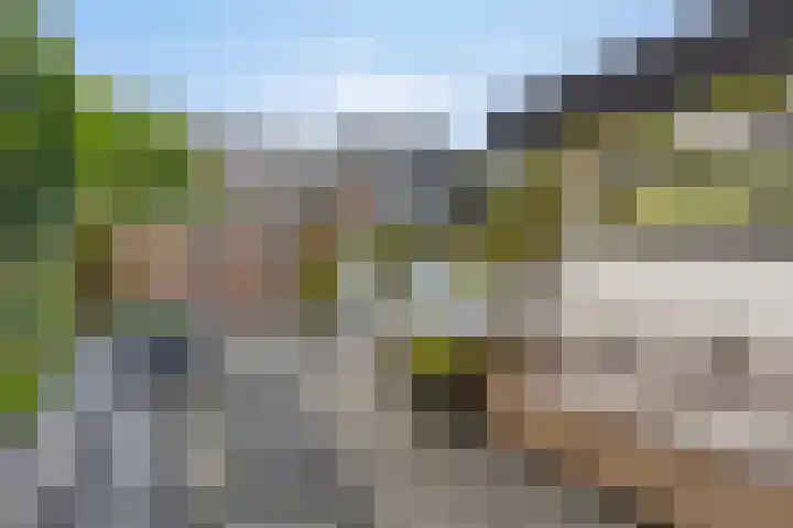 Koninginnelaan 6 Poortugaal thumbnail 22