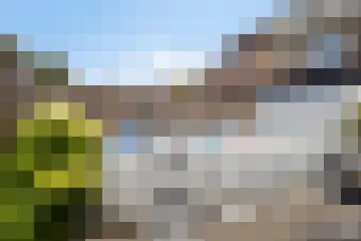 Koninginnelaan 6 Poortugaal thumbnail 23