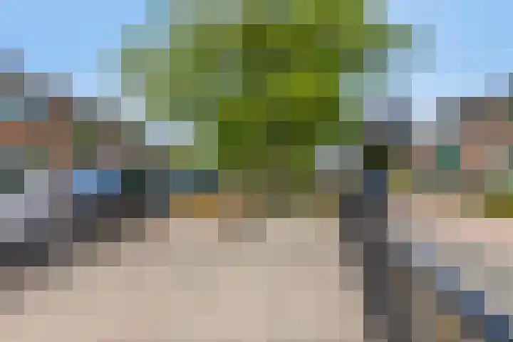 Koninginnelaan 6 Poortugaal thumbnail 26