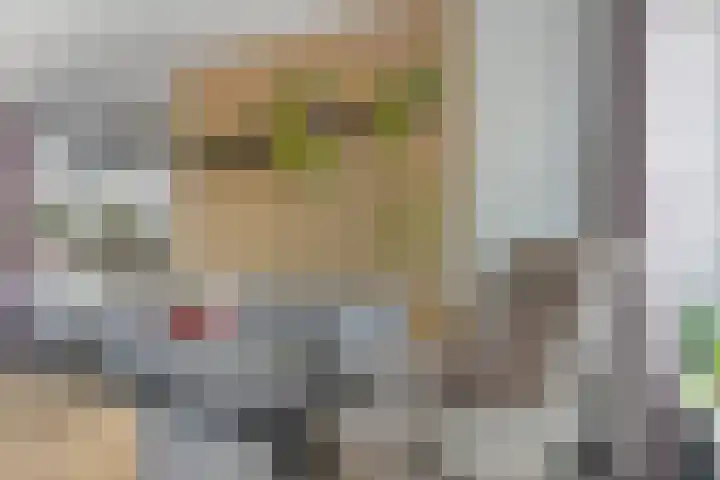 Koninginnelaan 6 Poortugaal thumbnail 5