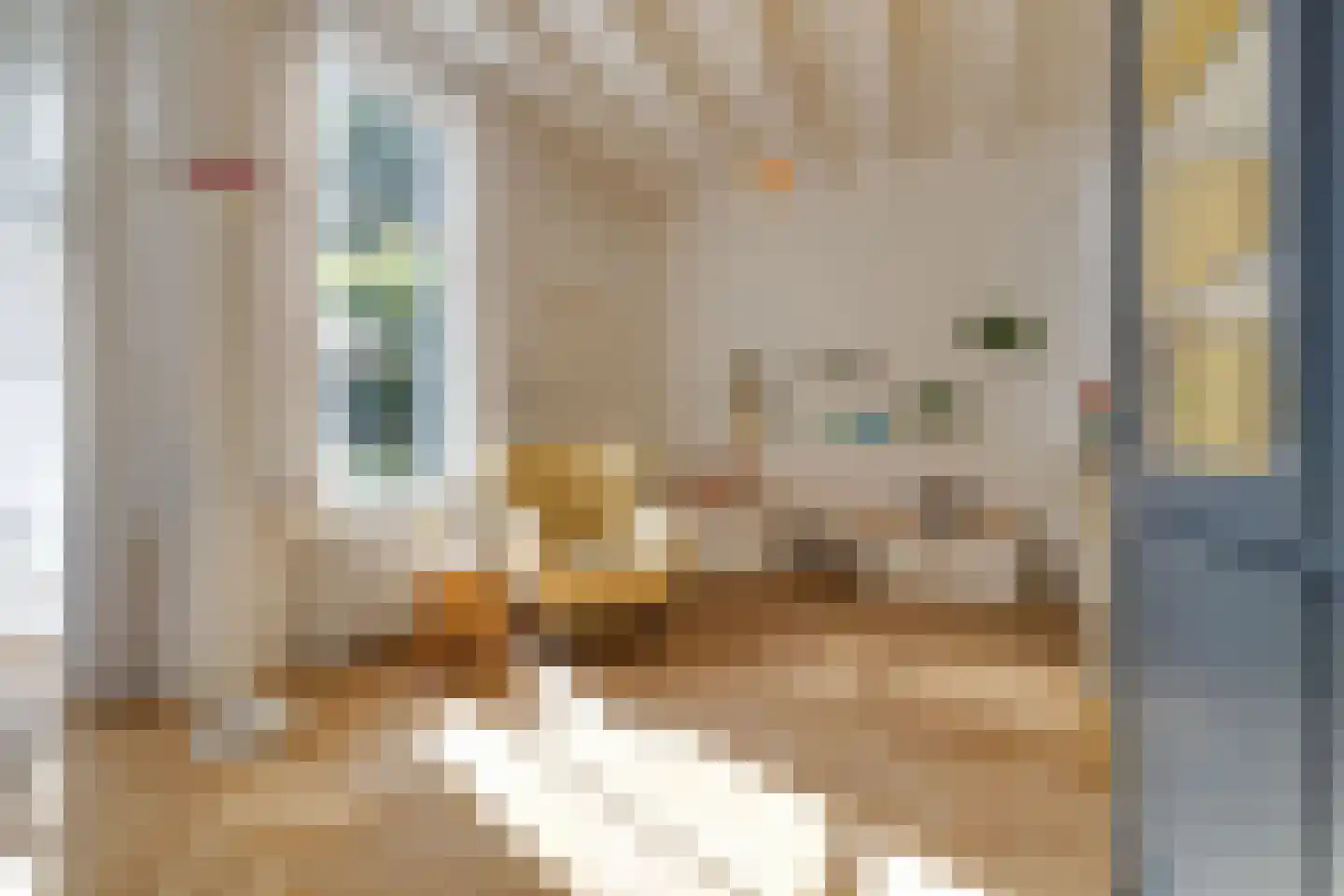 Koninginnelaan 60 Apeldoorn thumbnail 10