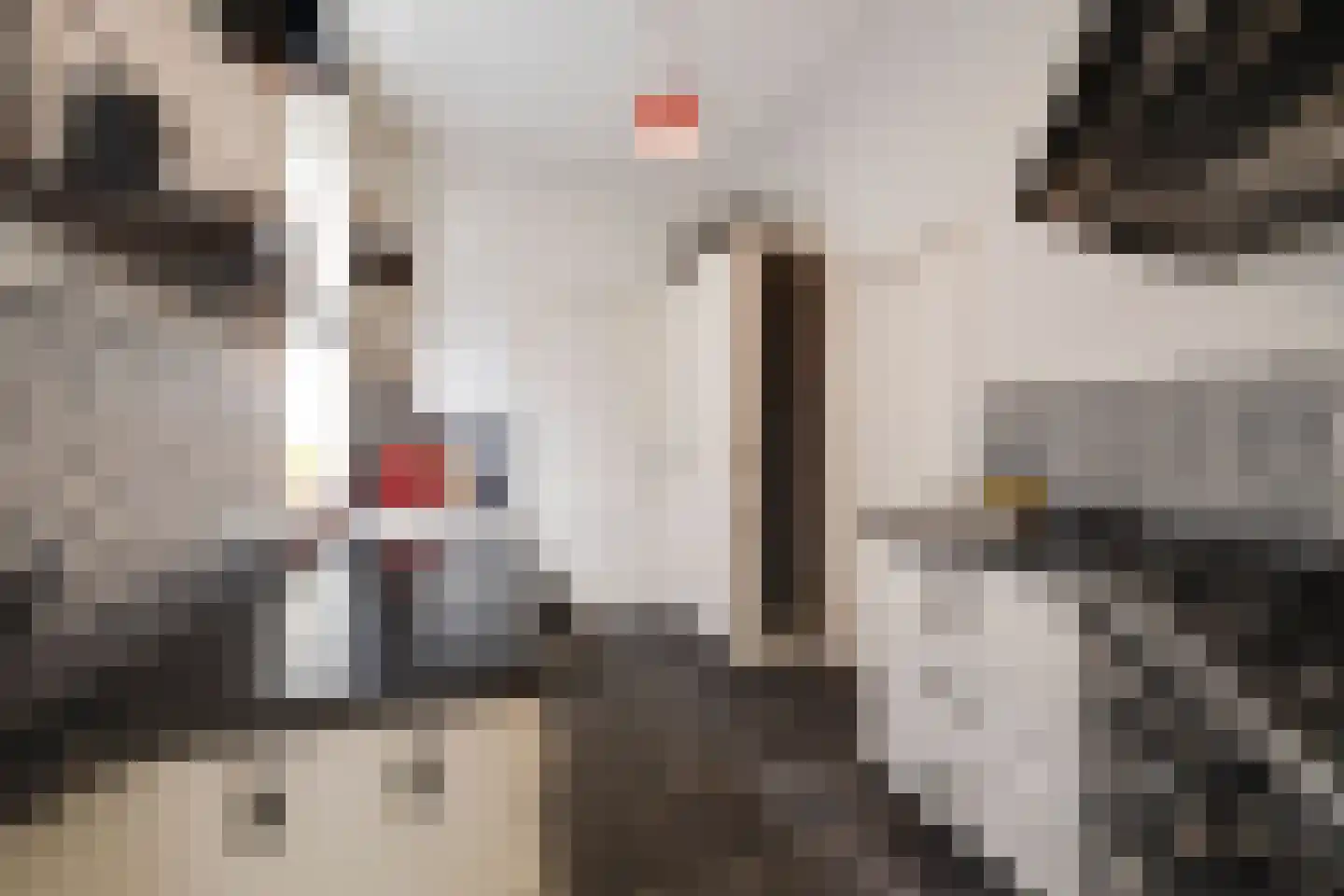 Koninginnelaan 60 Apeldoorn thumbnail 14