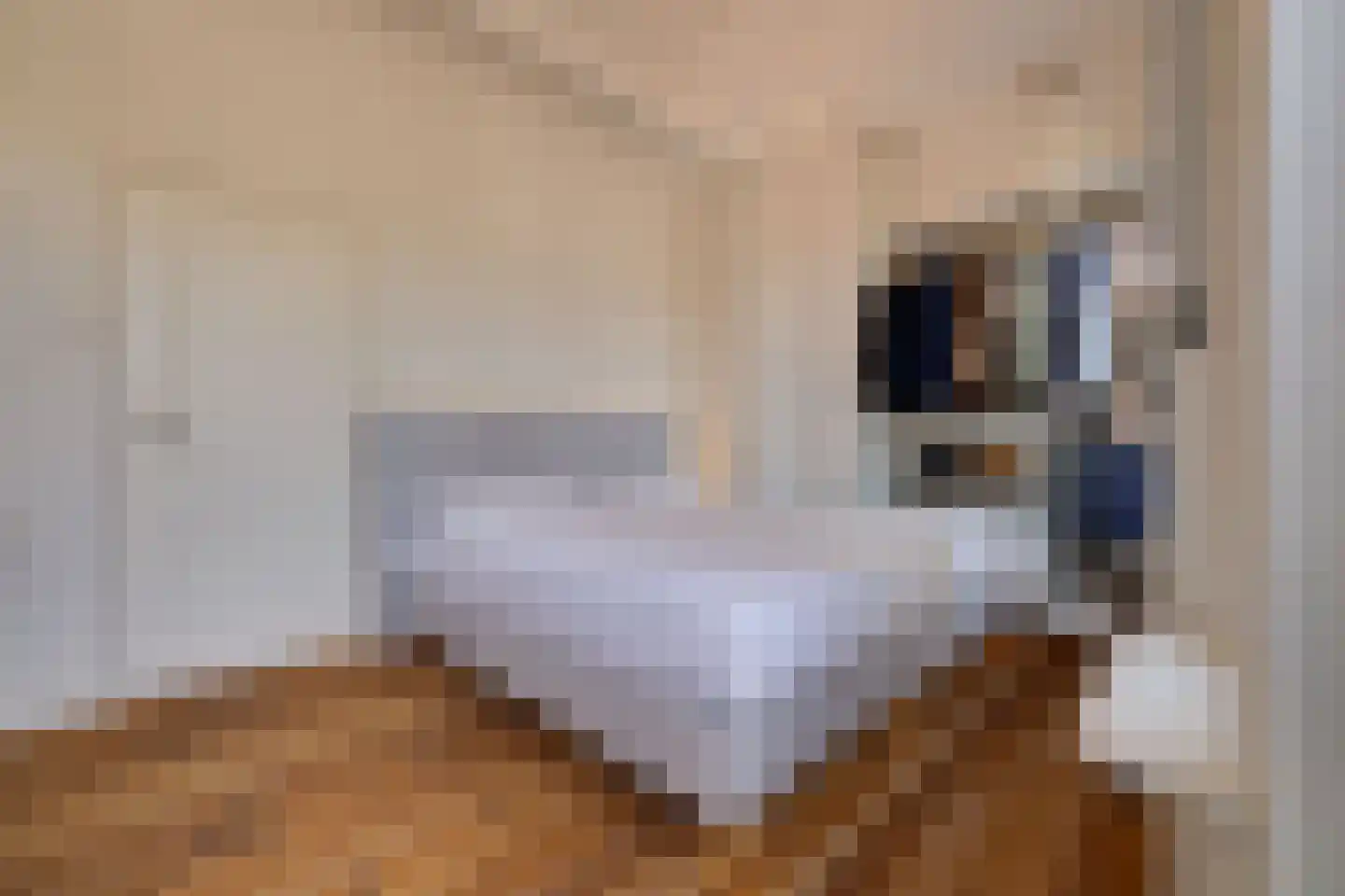 Koninginnelaan 60 Apeldoorn thumbnail 22