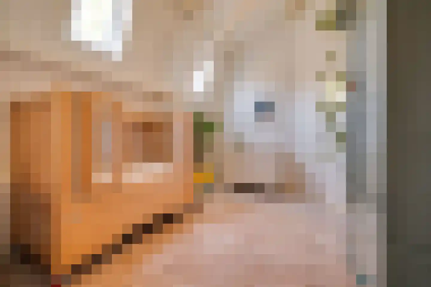 Koninginnelaan 60 Apeldoorn thumbnail 23
