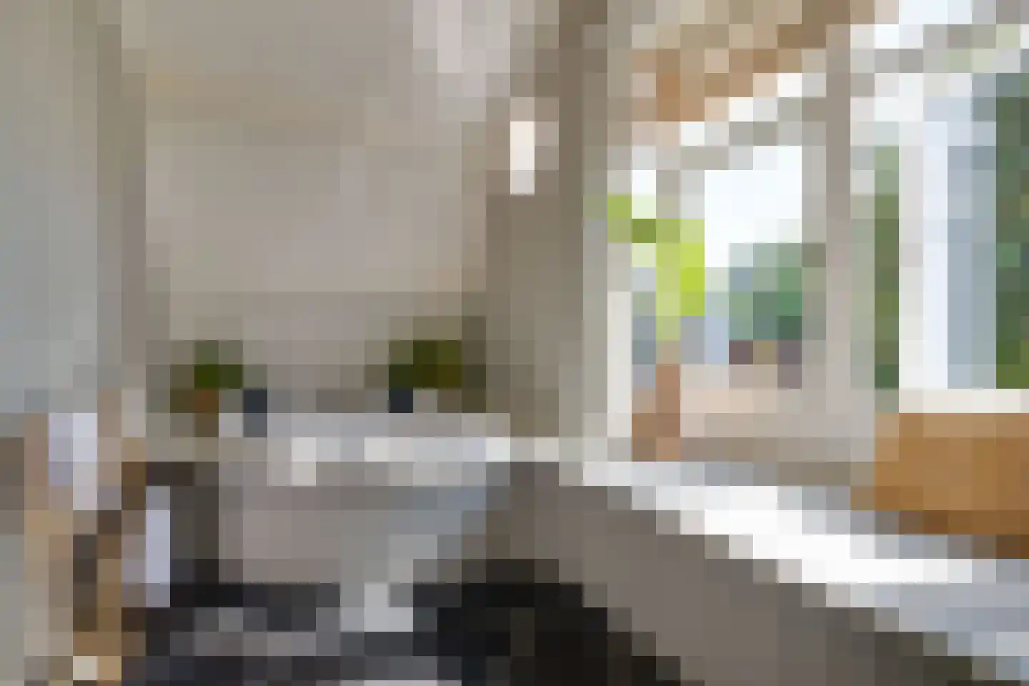 Koninginnelaan 60 Apeldoorn thumbnail 28