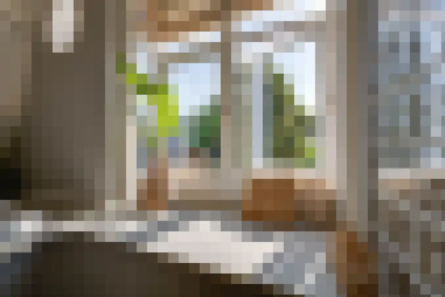 Koninginnelaan 60 Apeldoorn thumbnail 30