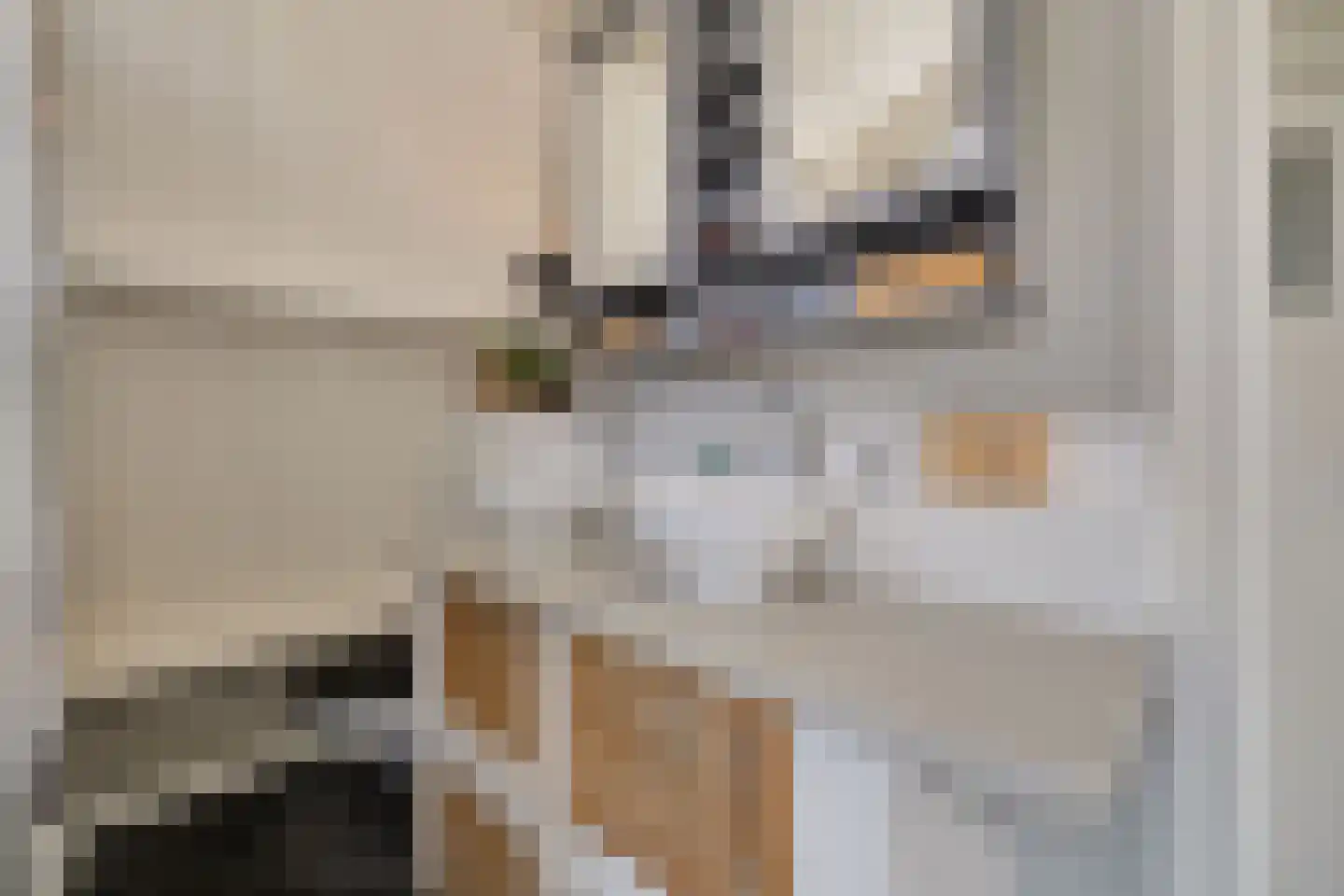 Koninginnelaan 60 Apeldoorn thumbnail 32
