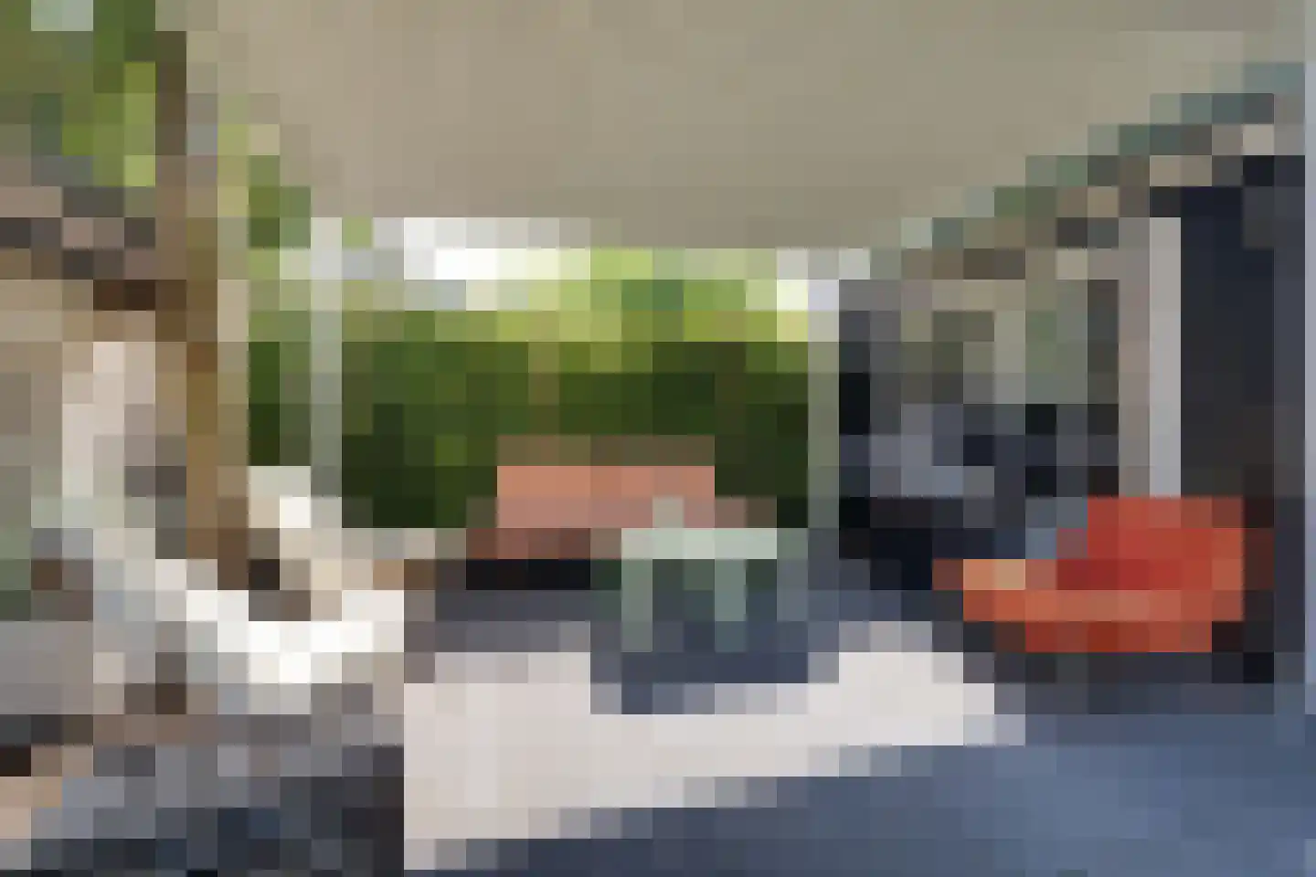 Koninginnelaan 60 Apeldoorn thumbnail 36