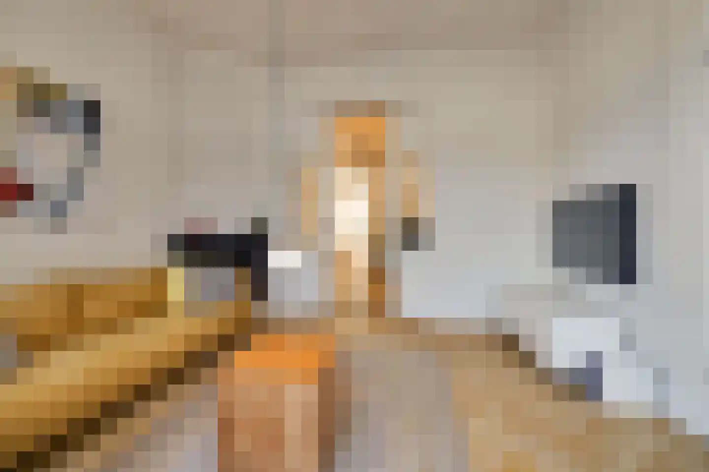 Koninginnelaan 60 Apeldoorn thumbnail 5