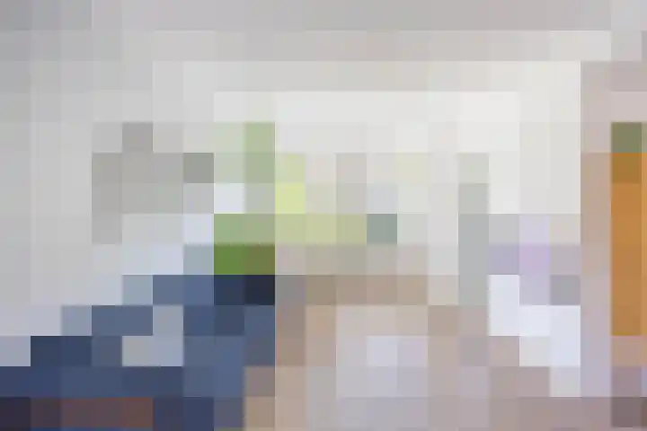 Koninginnelaan 60 Groningen thumbnail 12