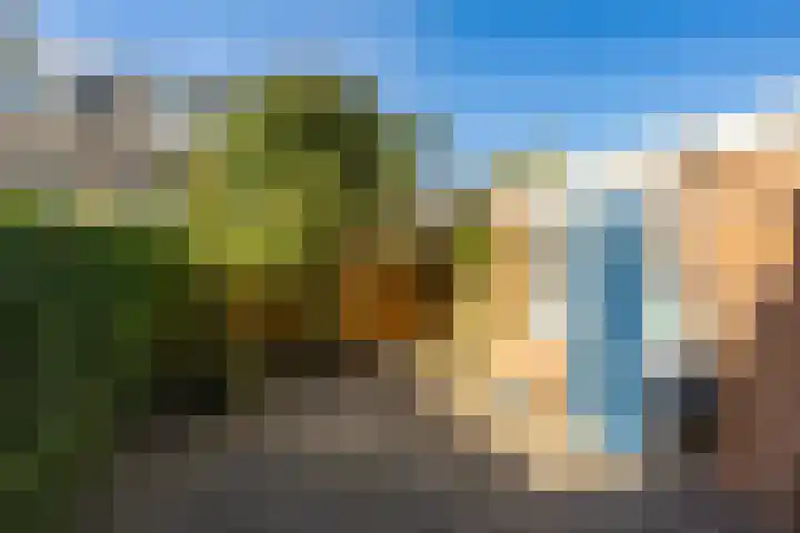 Koninginnelaan 60 Groningen thumbnail 21