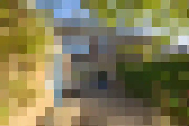 Koninginnelaan 60 Groningen thumbnail 22