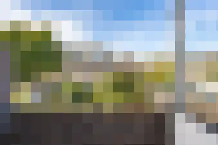 Koninginnelaan 60 Groningen thumbnail 29