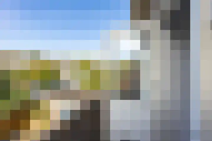 Koninginnelaan 60 Groningen thumbnail 30
