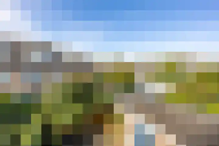 Koninginnelaan 60 Groningen thumbnail 31