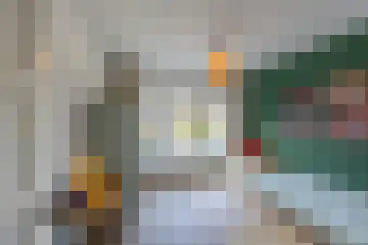 Koninginnelaan 60 Groningen thumbnail 32