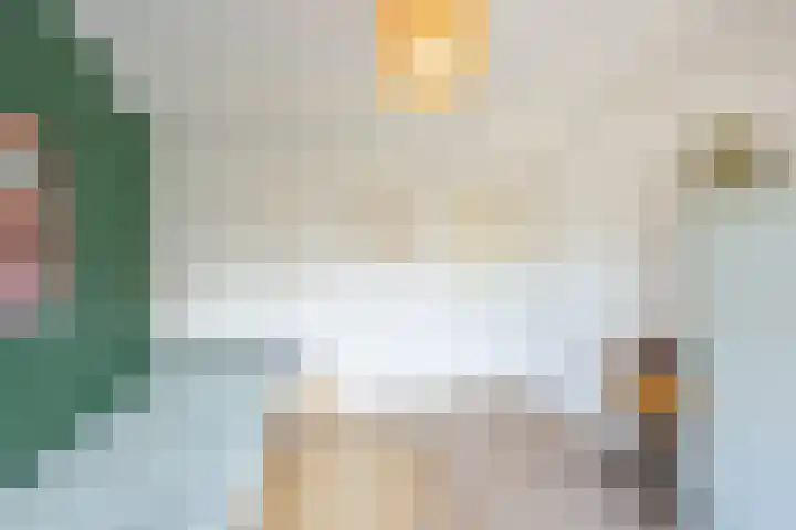 Koninginnelaan 60 Groningen thumbnail 33