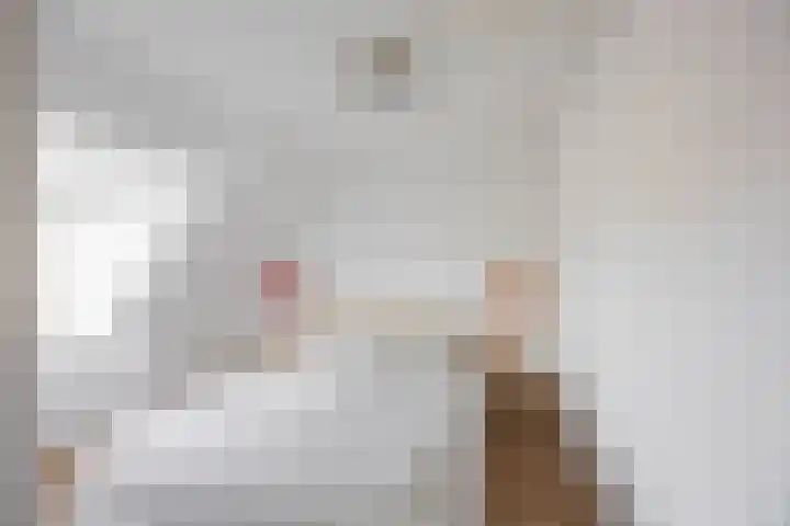 Koninginnelaan 60 Groningen thumbnail 4