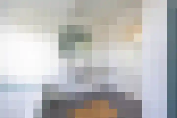 Koninginnelaan 60 Groningen thumbnail 48