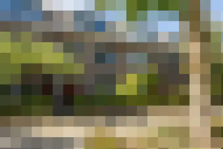 Koninginnelaan 60 Groningen thumbnail 5