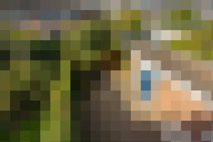 Koninginnelaan 60 Groningen thumbnail 51