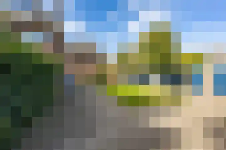 Koninginnelaan 60 Groningen thumbnail 52