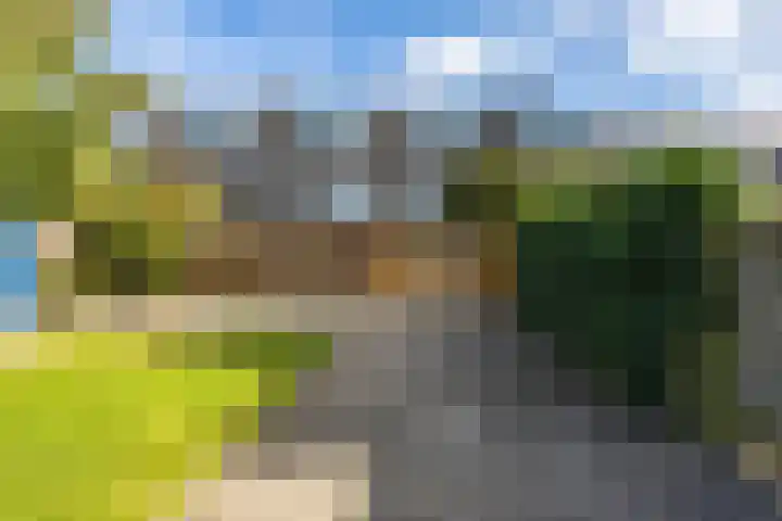 Koninginnelaan 60 Groningen thumbnail 53