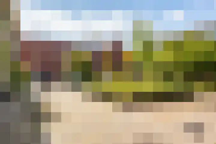 Koninginnelaan 60 Groningen thumbnail 54