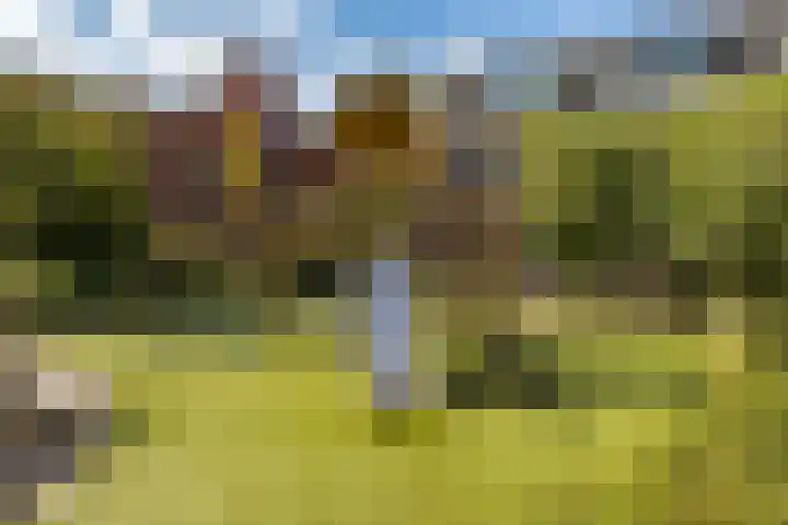 Koninginnelaan 60 Groningen thumbnail 55