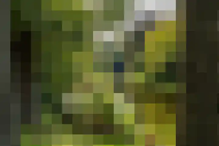 Koninginnelaan 60 Groningen thumbnail 56