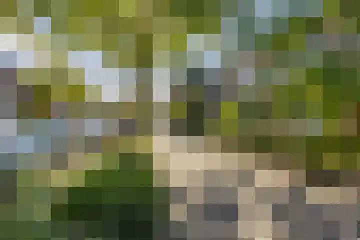 Koninginnelaan 60 Groningen thumbnail 6
