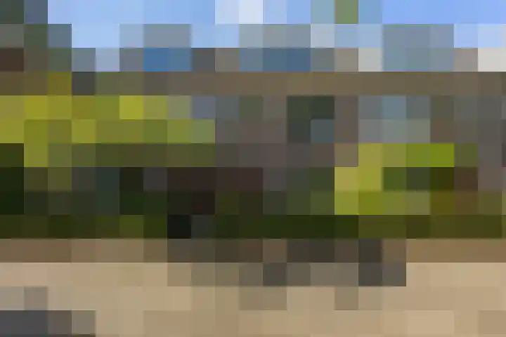 Koninginnelaan 60 Groningen thumbnail 7