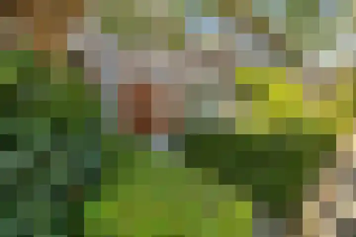 Koninginnelaan 60 Groningen thumbnail 8