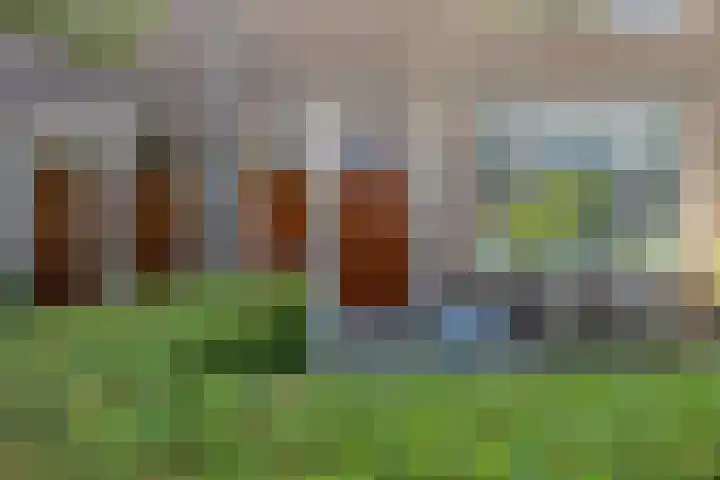 Koninginnelaan 60 Groningen thumbnail 9