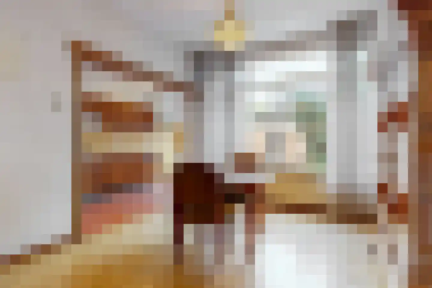 Koninginnelaan 66 Leiden thumbnail 11