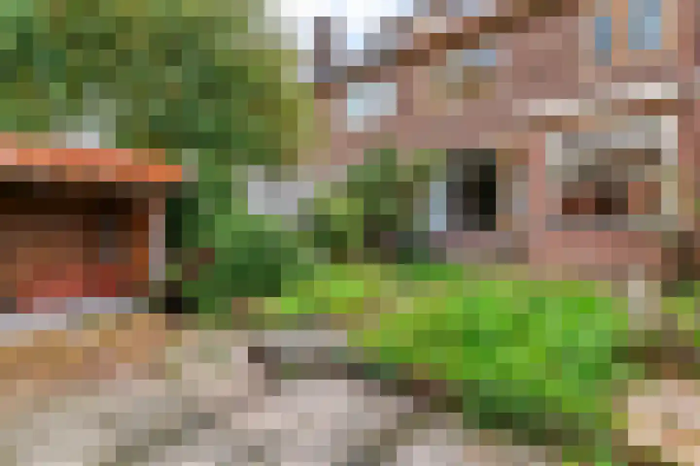 Koninginnelaan 66 Leiden thumbnail 29