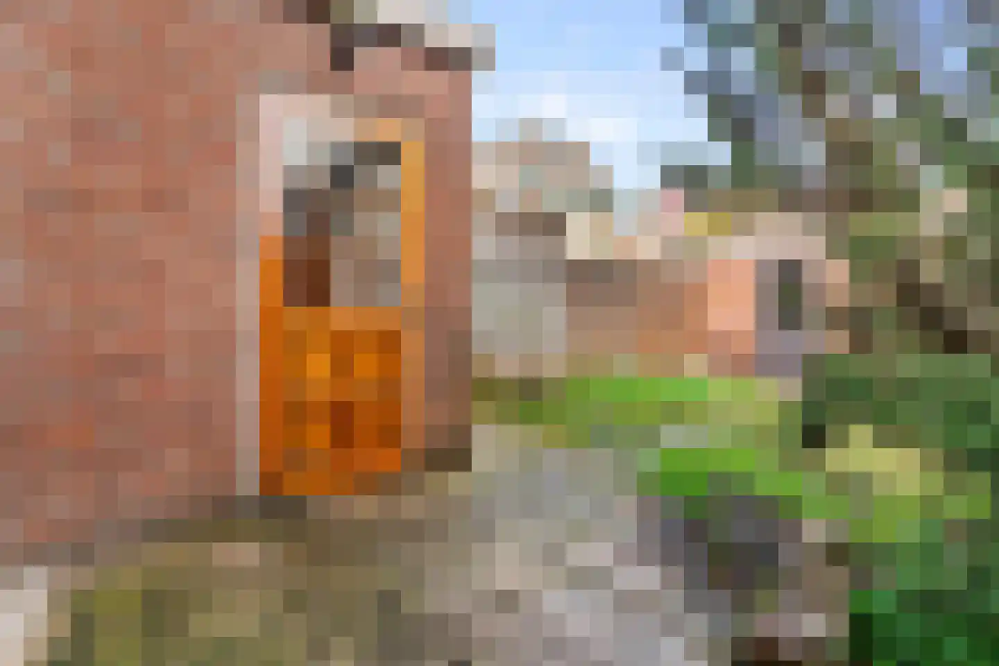 Koninginnelaan 66 Leiden thumbnail 30
