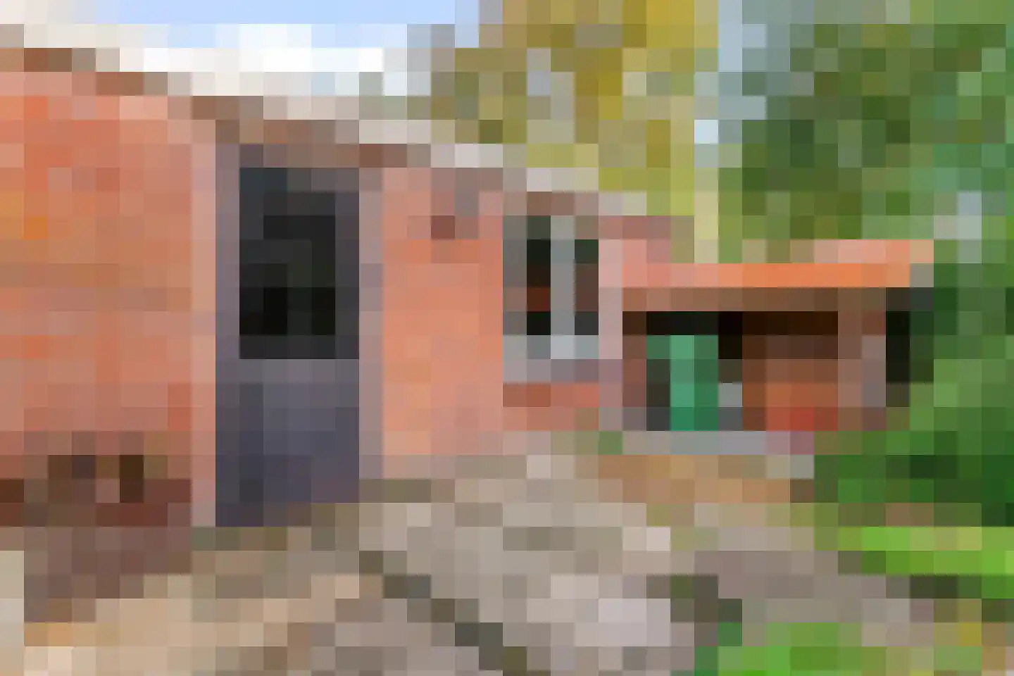 Koninginnelaan 66 Leiden thumbnail 32