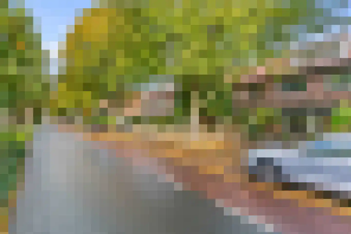 Koninginnelaan 66 Leiden thumbnail 34