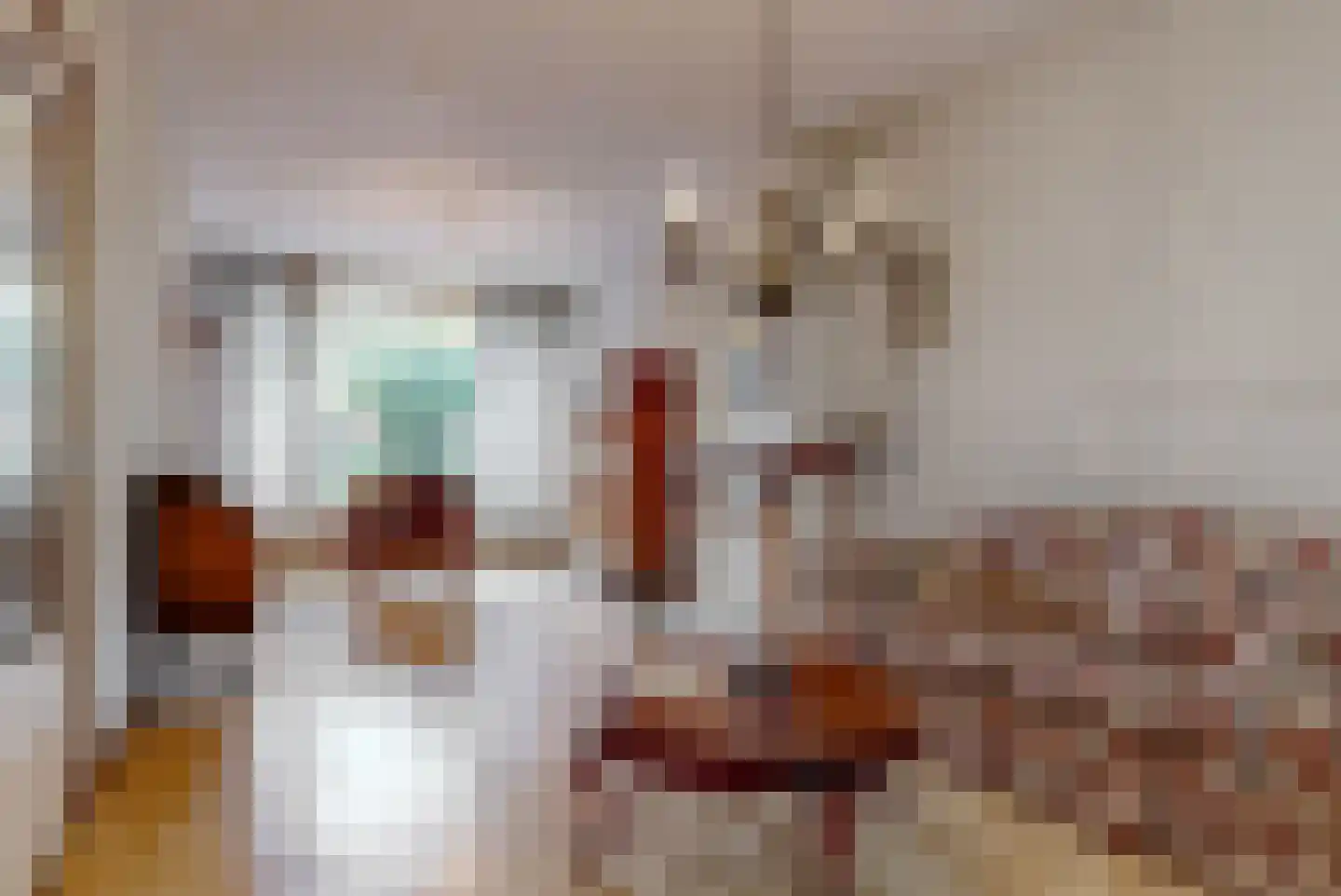 Koninginnelaan 66 Leiden thumbnail 8